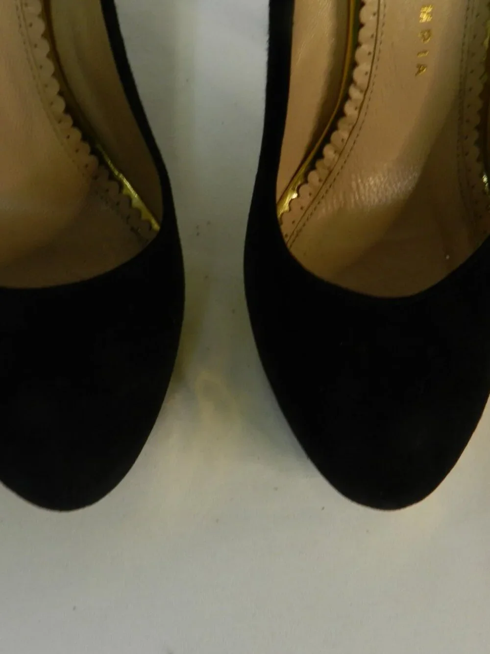 Charlotte Olympia italy suede